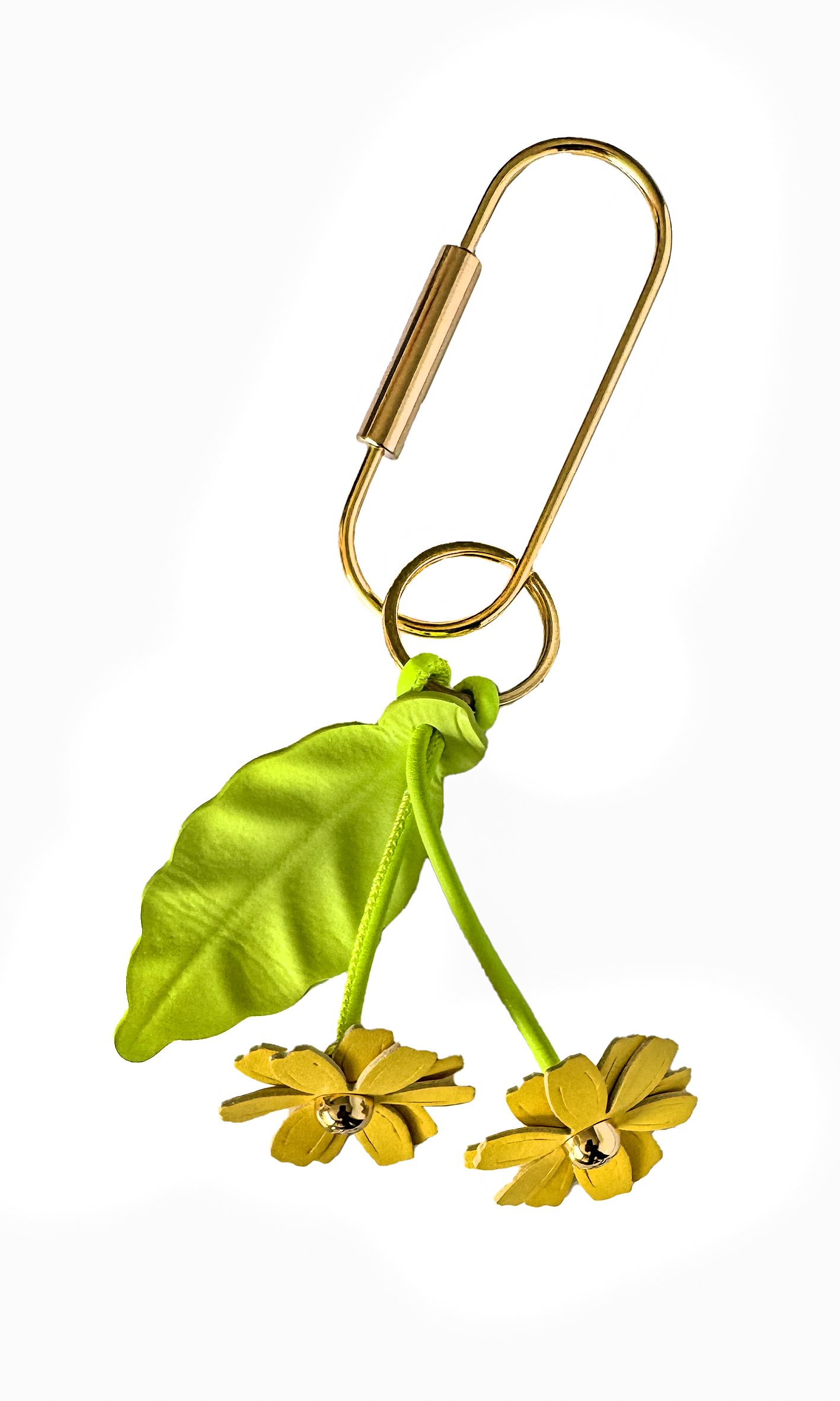 Yellow flowers with leaf